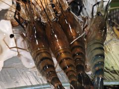 -Thai Basil罗勒叶泰式餐厅(时代天街店)