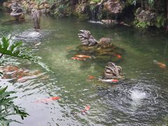 -国恩寺