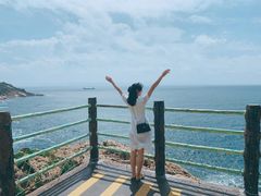 -广东惠东海龟国家级自然保护区
