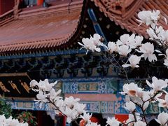 -皇罗禅寺