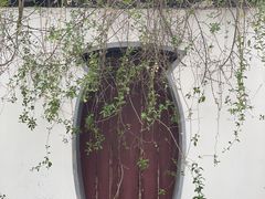 -水绘园