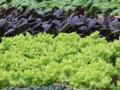 -安德鲁户外烧烤帐篷营地(马泉营店)