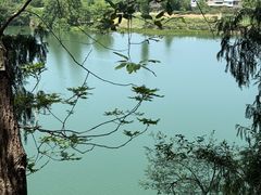 -子昂故里文化旅游区