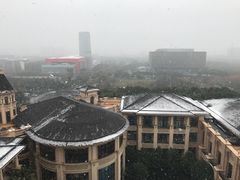 -上海浦东星河湾酒店