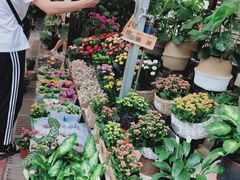 -秦美花卉(天朗·莱茵小城2期店)