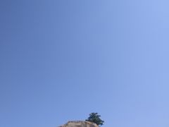 -少华山国家森林公园