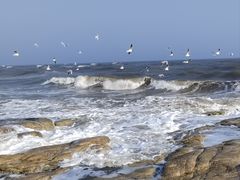 -老虎石海上公园