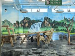 -秦皇岛野生动物园