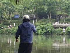-重庆彩云湖湿地公园