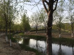 -滨河世纪广场公园