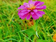 -贡湖湾湿地公园