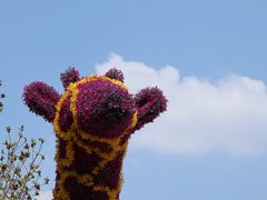 -石家庄市植物园