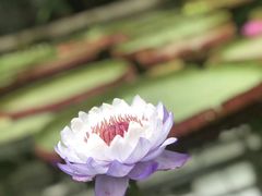 -北京植物园南门售票处