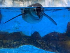 -常州海昌海洋探索馆