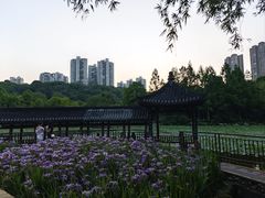 -龙头寺公园