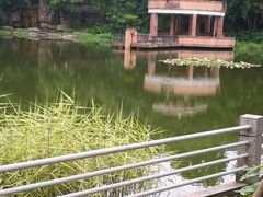-西南政法大学(沙坪坝校区)
