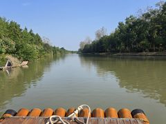 -合肥滨湖国家森林公园