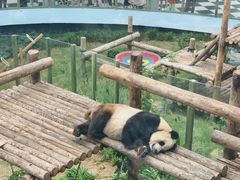 -大连森林动物园