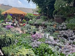 -山菌美食苑(振兴路店)