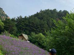 -云峰山自然风景区