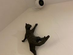 -猫友咖啡店(玉林西路店)