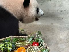 -杭州动物园
