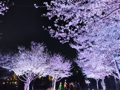 -西北湖绿化广场