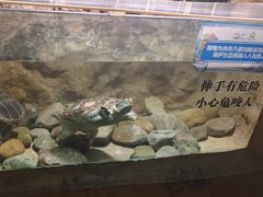 -洛阳龙门海洋馆