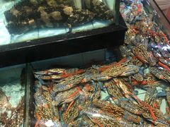 -越百海海鲜蒸锅(乐山店)