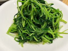 清炒鸡毛菜-ZOE·S梓园