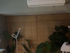 -施奈儿.洗头頭療.按摩SPA.采耳(上梅林店)