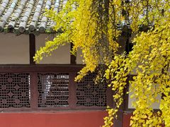 -金堂县云顶石城风景区