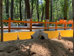 -北京野生动物园