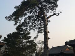 -沈阳市东陵公园