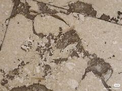 -三亚亚龙湾铂尔曼别墅度假酒店