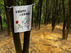 -黄埔油麻山森林公园