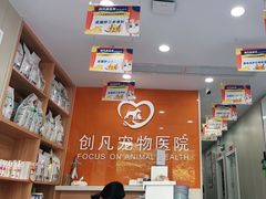-创凡宠物医院·骨专科  猫科中心(西乡分院)