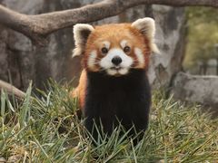 -常州淹城野生动物世界