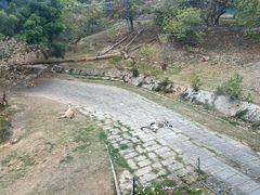 -深圳野生动物园