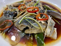 -煲来饱去冷水鱼