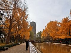 -玲珑塔公园