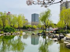 -新虹桥中心花园