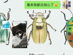 -宠物之家Pets Home 宠物寄养酒店