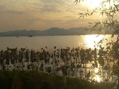 -湖畔居茶楼(湖滨店)