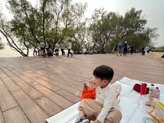 -宝安西湾红树林湿地公园