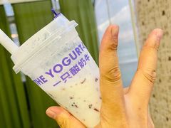 -一只酸奶牛(曲江龙湖星悦荟店)