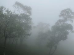 -狮子山郊野公园