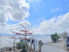 -深圳湾公园(南山区)