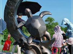 -广东惠东海龟国家级自然保护区