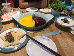 -青瓷火锅料理(西单大悦城店)